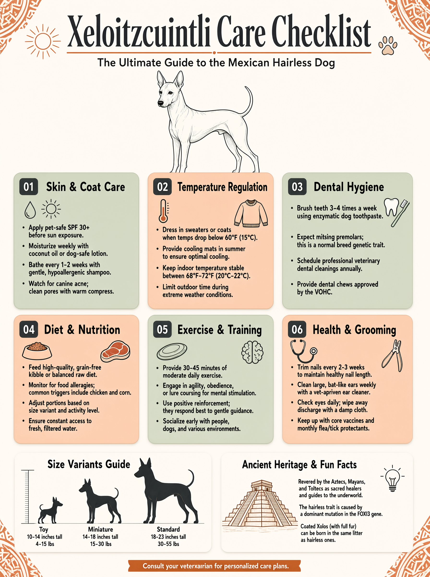 Xoloitzcuintli care checklist — skin sun protection and daily routine for Mexican hairless dog